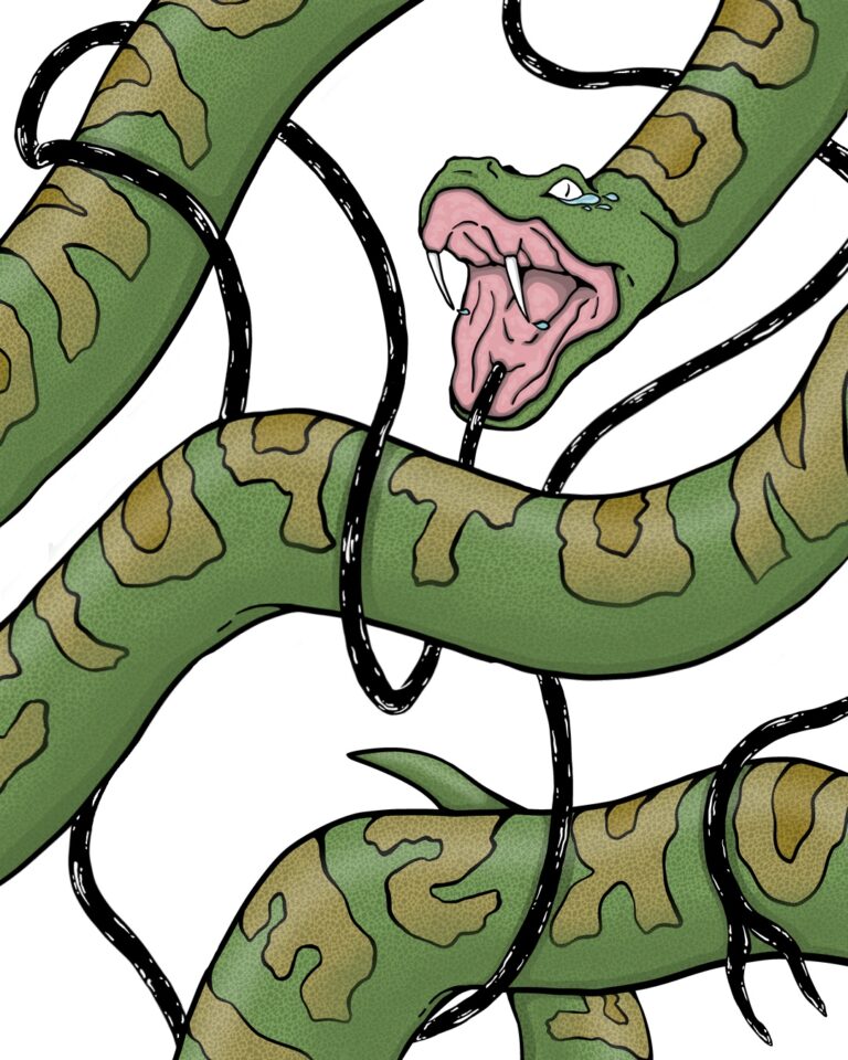 Eine Zeichnung von einer Schlange.
